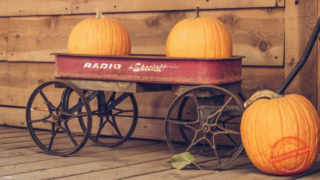 Fall Health Check Up at Raleigh Acupuncture Associates
