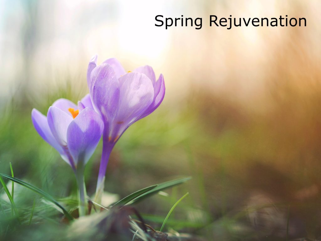 Cary Acupuncture Spring Rejuvenation For Better Health