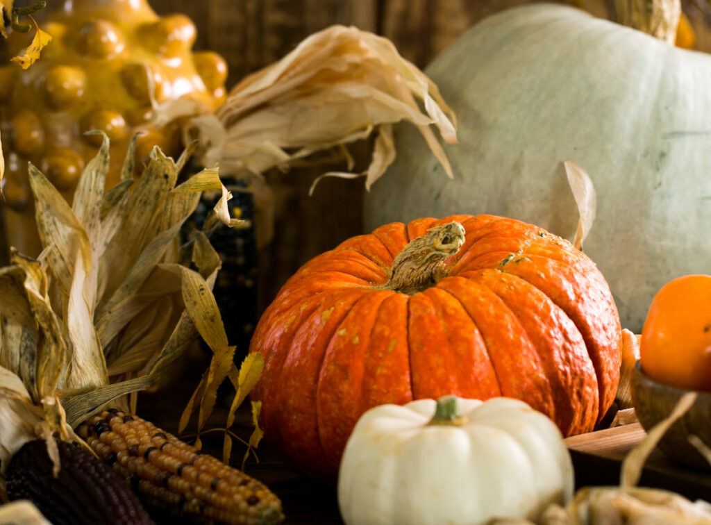 Harvest of Gratitude: Thanksgiving Celebrations Across the Globe